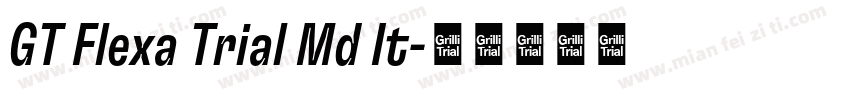 GT Flexa Trial Md It字体转换